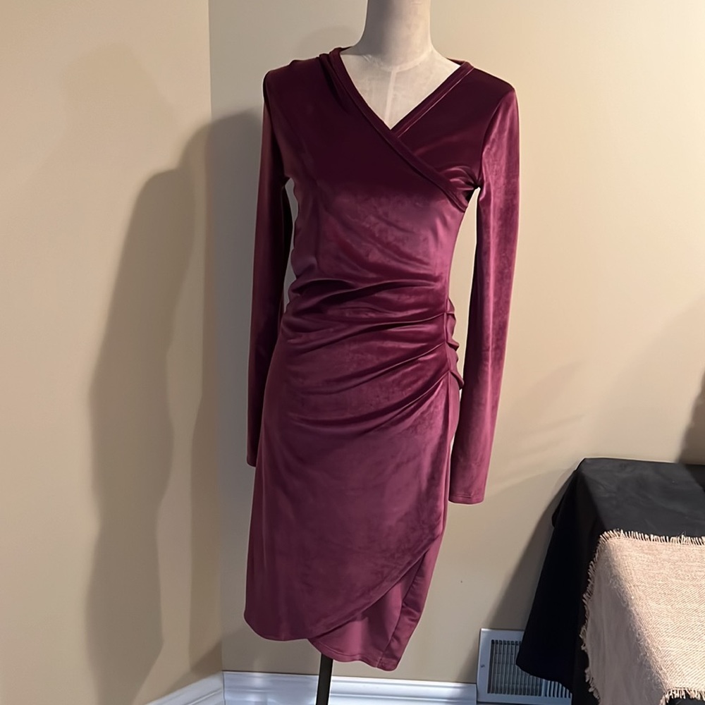 Aritzia Wlfred Free Velvet Dress